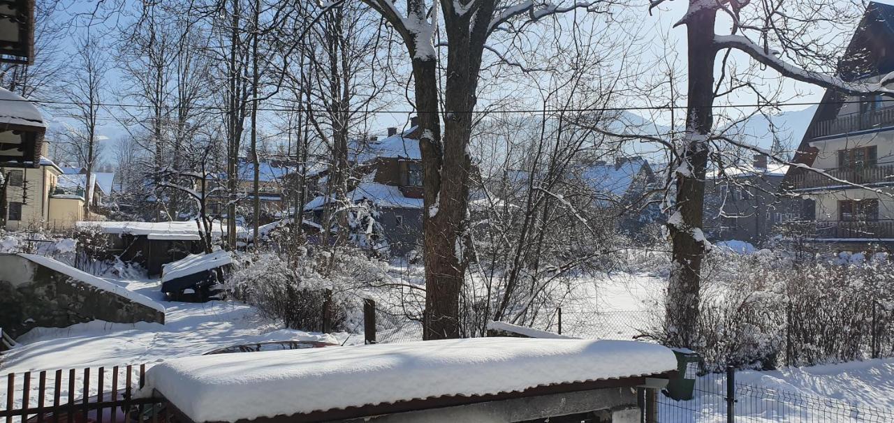 Vip Apartamenty Tytus Zakopane Bagian luar foto